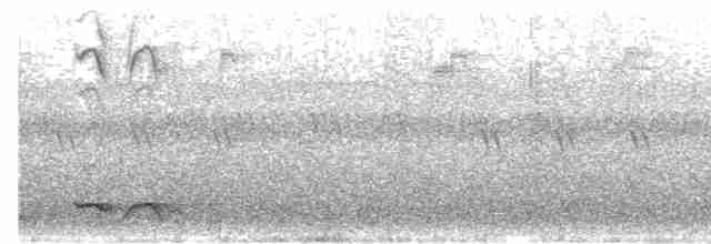 Slender-billed Oriole - ML483751451