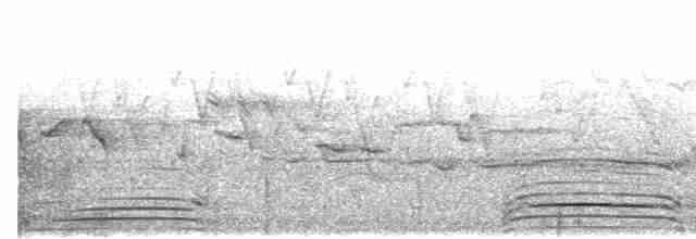 Трагопан синьогорлий - ML483752031