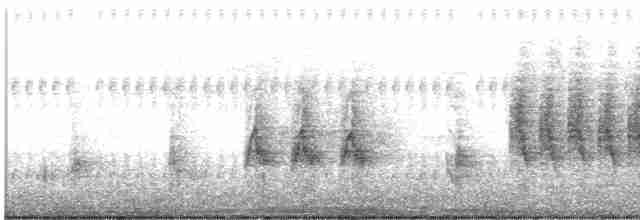Australian Reed Warbler - ML483752251
