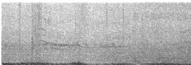 Common Tern - ML483791861