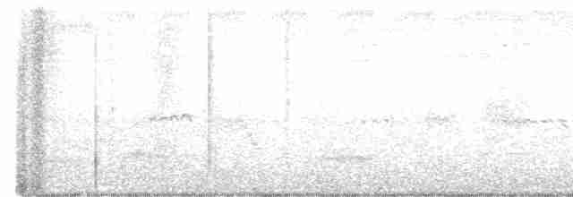 Long-tailed Shrike - ML483812741