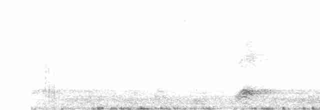 Black-crowned Night-Heron - ML483842441