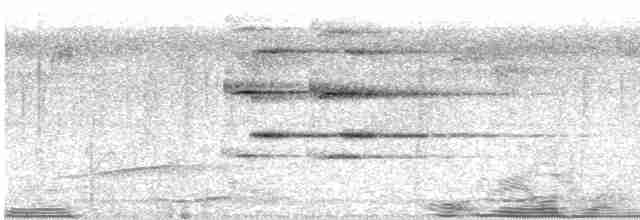 オウム目（インコ科 大きな種） - ML483848111