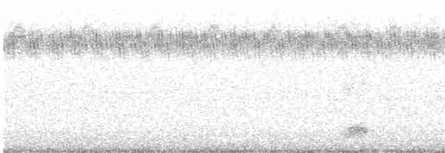 Black-crowned Night-Heron - ML483867471
