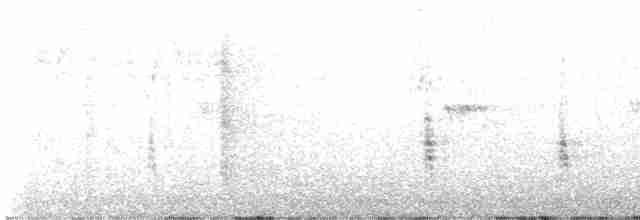 Oriole des vergers - ML483868571