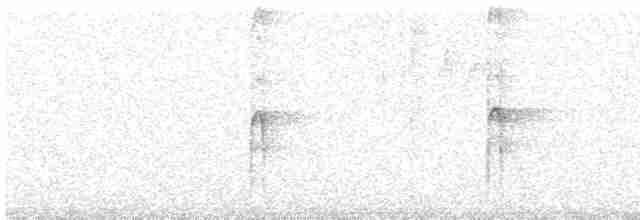 Pic chevelu (groupe villosus) - ML483883681