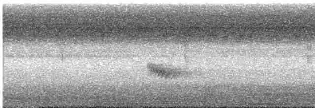 Каролинский крапивник - ML483946511