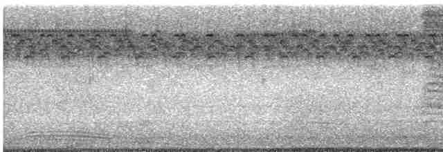 Пересмішник сірий - ML483950451