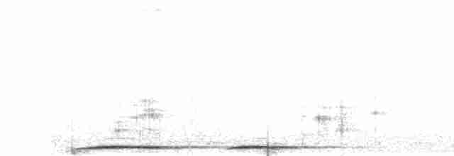 Гигантская иглоногая сова - ML484002191
