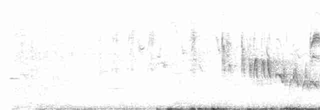 Боранская цистикола - ML484032881