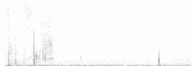 Black-crowned Night-Heron - ML484045161