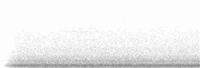 Colibri à gorge lilas - ML48407361