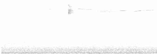 Kara Suratlı Çalı Serçesi - ML484073971