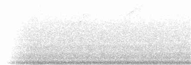 Gümüş Alınlı Tapakola (argentifrons) - ML48408291