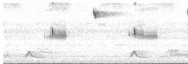 Scissor-tailed Nightjar - ML484090481