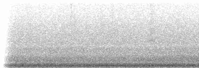 Пестрохвостая эферуса - ML48409251