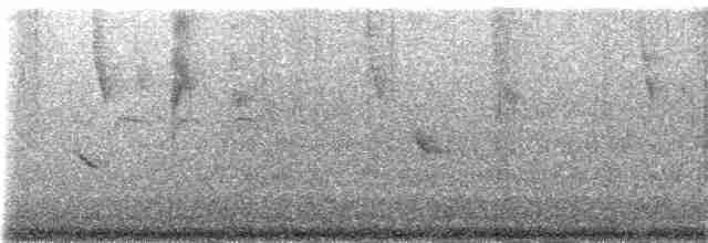 Colibri magenta - ML48410191