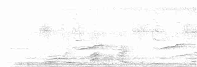 Сичик-горобець рудий [група brasilianum] - ML48410471