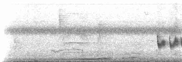 Mangrov Vireosu (pallens) - ML48410571