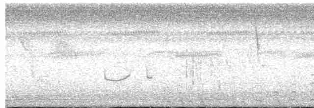 Marouette à sourcils blancs - ML484120071