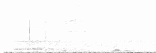 svartkondor - ML484121991