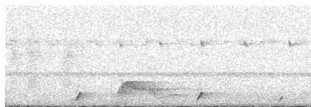 Pauraquenachtschwalbe - ML484169471