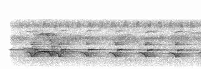 Лінивка-чорнопер жовтодзьоба - ML484306281