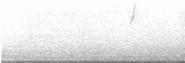Шафрановый зерноед (pelzelni) - ML484325151