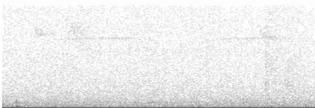 Planalto Gri Karıncaavcısı - ML484399231