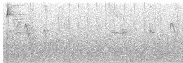 Бледнохвостый венценосец - ML484473201