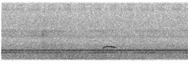 Дрізд-короткодзьоб Cвенсона - ML484473721
