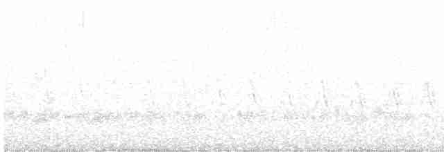Large-tailed Antshrike - ML484491601