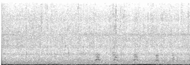 Гагара полярна - ML484594411