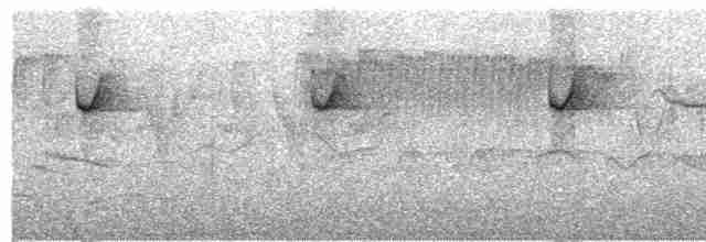 Красноголовая короткохвостка - ML484605211