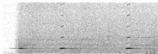 Ошейниковый сычик - ML484605371