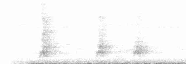 Plush-crested Jay - ML484778741