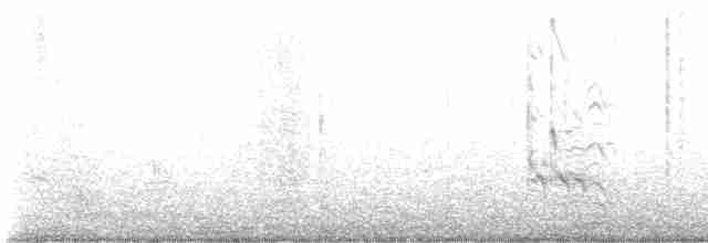 kortnebbekkasinsnipe - ML484809261
