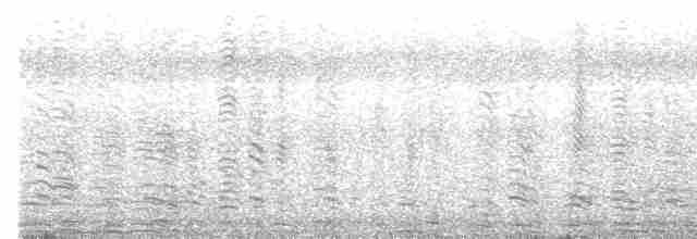husovec strakatý - ML484844811