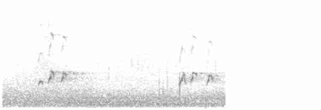 Орел-карлик малий - ML484852031