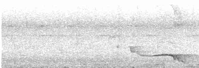 Каштановая райская птица - ML484874181