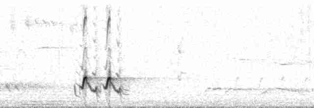 Streifenpanthervogel - ML48489