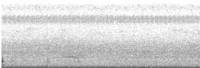 Indian Gray Hornbill - ML484901671
