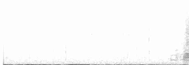 Pava Oscura - ML484907621