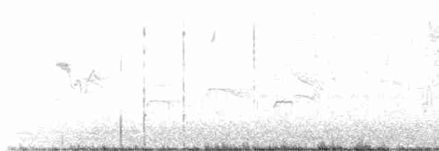 斑文鳥 - ML485035191