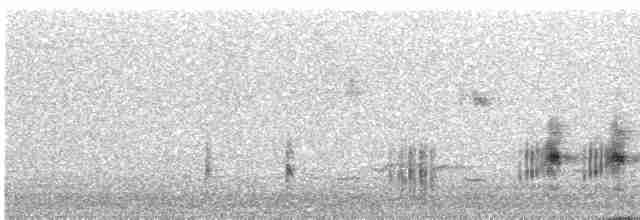 Great Reed Warbler - ML485051751
