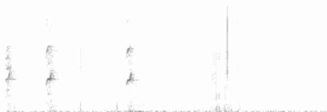 Изящный медосос - ML485113581