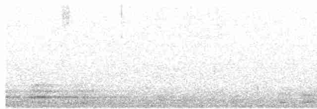 Çizgili Kulaklı Baykuş - ML485120071