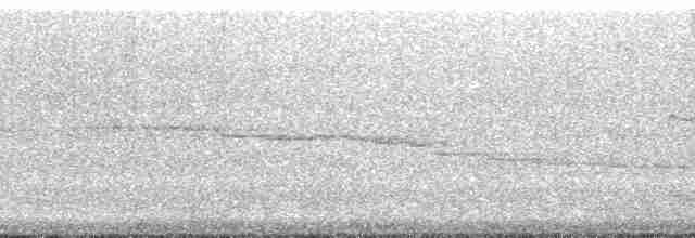 Çizgili Panterkuşu - ML48514