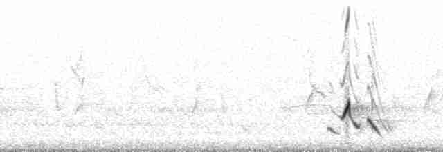 Streifenpanthervogel - ML48516