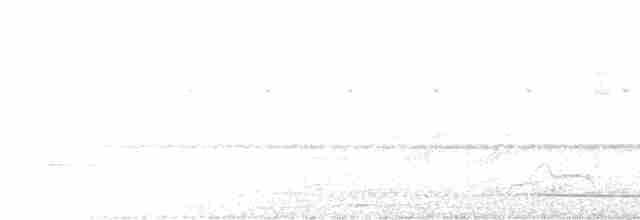 Охристый/Белокурый дятел-гренадер - ML485171021
